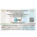 Dr. Arturo Figueroa Credentials