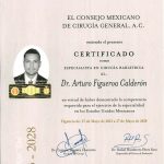 Dr. Arturo Figueroa Credentials