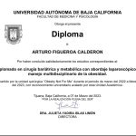 Dr. Arturo Figueroa Credentials